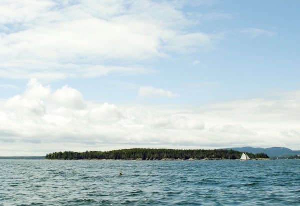 Loading Image