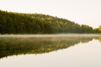 SDIM0541